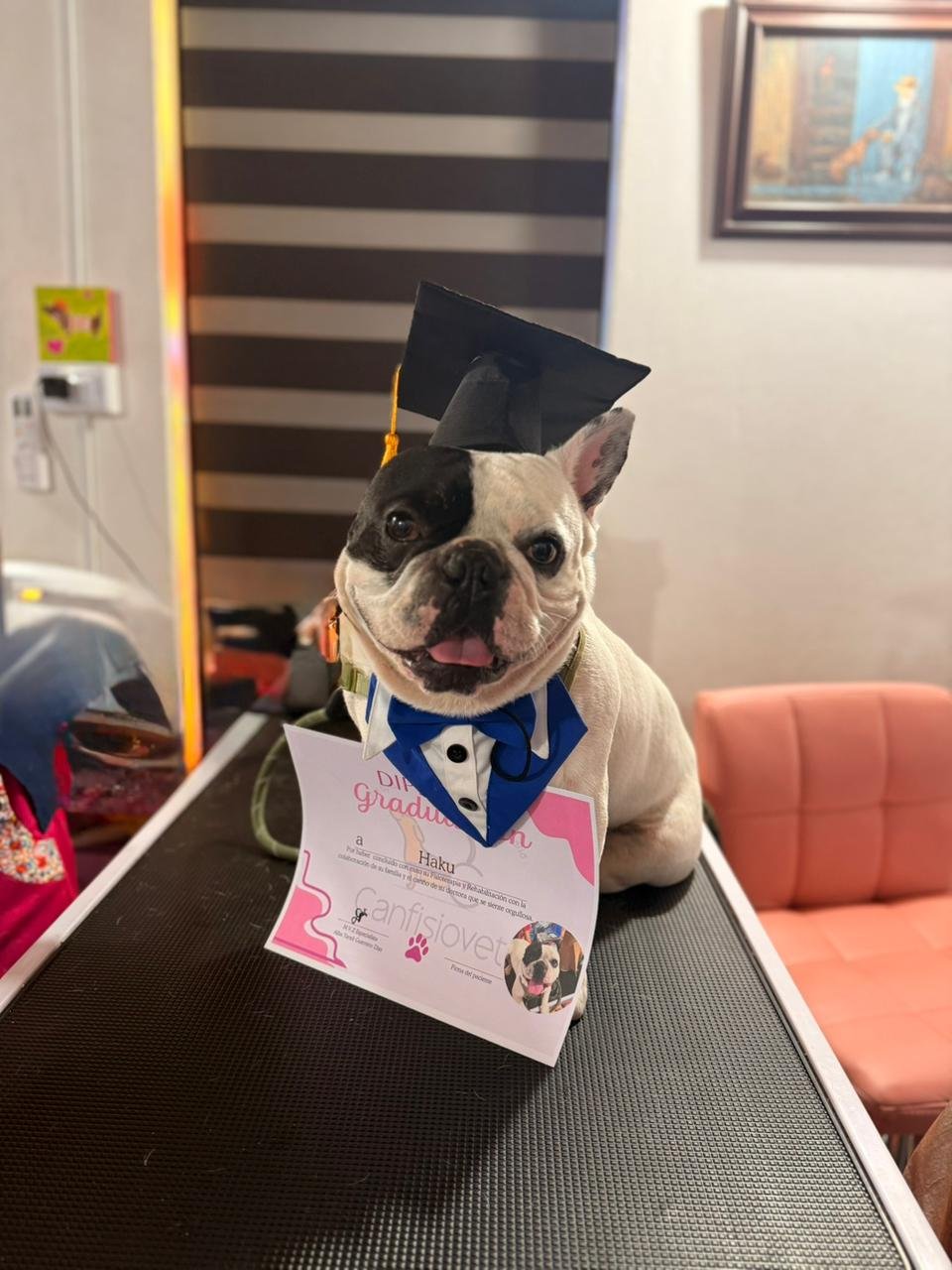 Equipo de rehabilitación