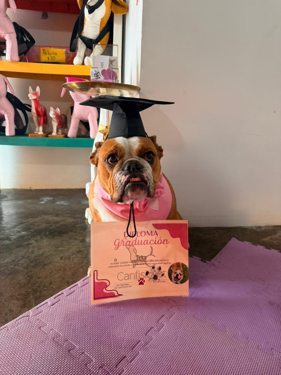 Equipo de rehabilitación